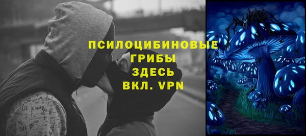 метадон Алексин