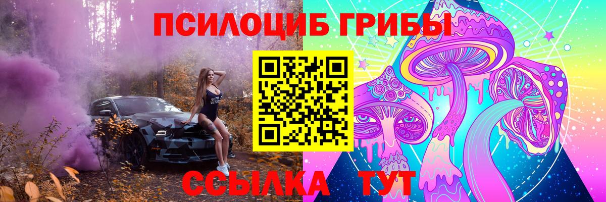 Псилоцибиновые грибы Cubensis  Вход с VPN  Псилоцибиновые грибы мицелий  Переславль-Залесский 