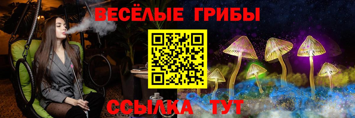 Псилоцибиновые грибы мицелий Переславль-Залесский